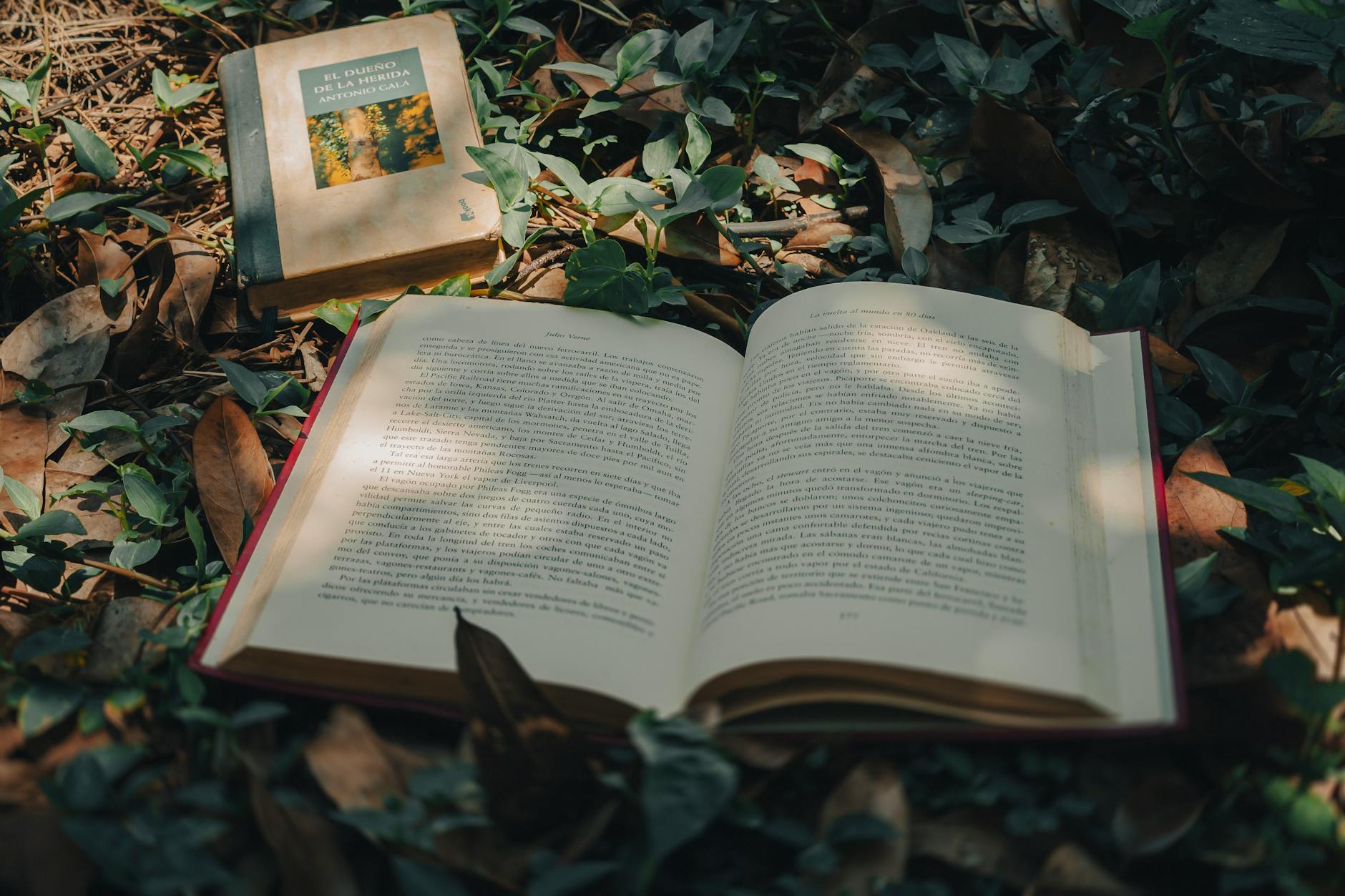 an open book sitting on the ground surrounded by leaves